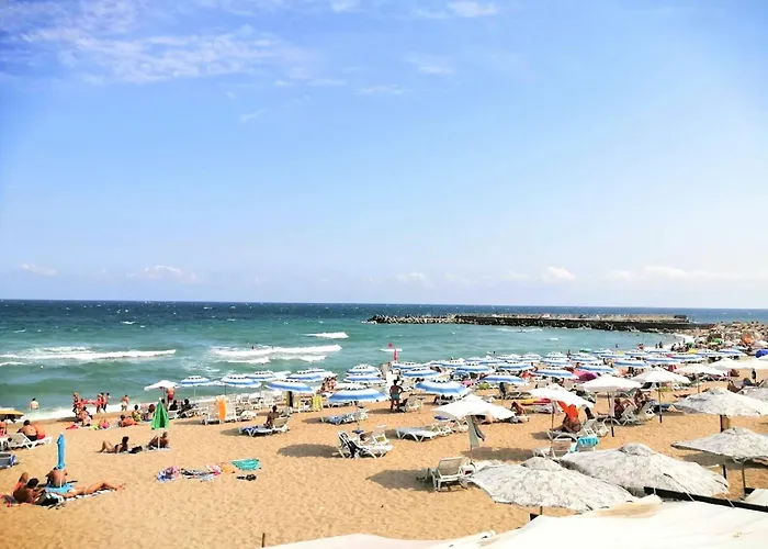 Cozy Nest With Glass Veranda アパート *