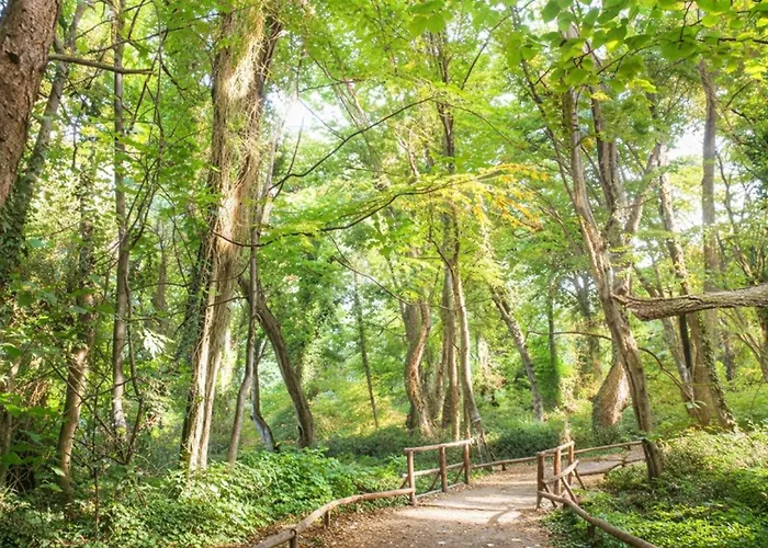 Lejlighed Cozy Nest With Glass Veranda Varna