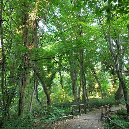 アパート Cozy Nest With Glass Veranda ヴァルナ